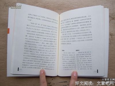 圣经优美的句子