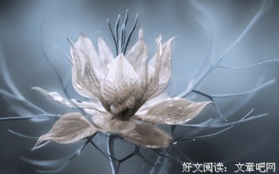 人生若只如初见优美的句子