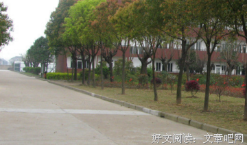 《羽翼》的句子