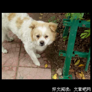 关于简嫃的句子