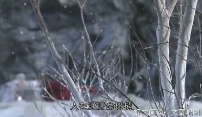 霹雳名句欣赏