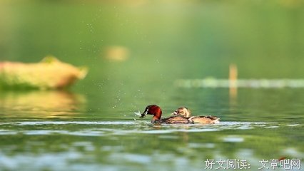 小喂的名言