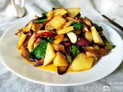 关于小杜座右铭