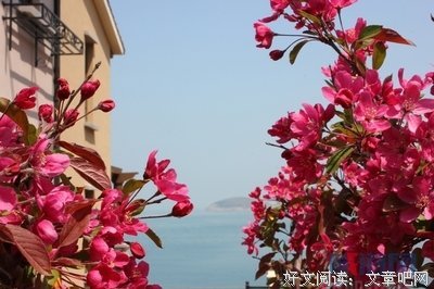 最新的海宴名言大全