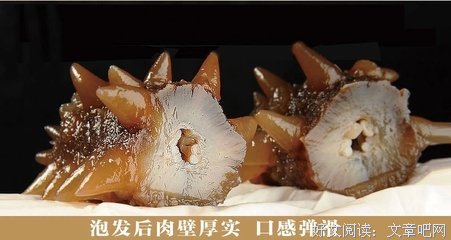 有关海晏名言