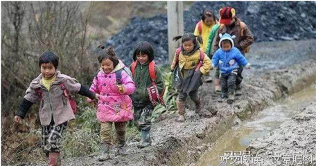 这5本看似冷门的书，读过才知道有多惊艳