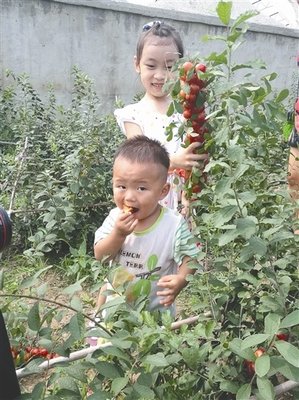 最全的李进的名句