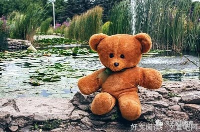 最全的杜威名言