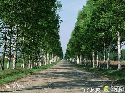 最新的《写给权敏雪的诗篇》经典句子