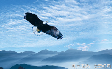最全的《小四之家励志语录》好段摘抄大全