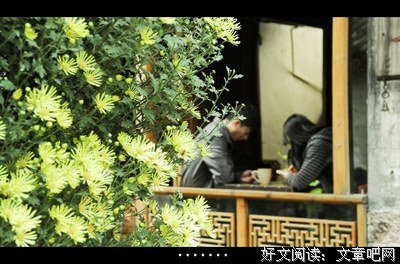 最全的《情到深处不怕孤独》名句欣赏大全
