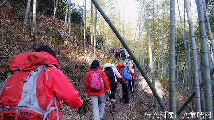 最全的《穿越，攻略，捡节操》经典的句子