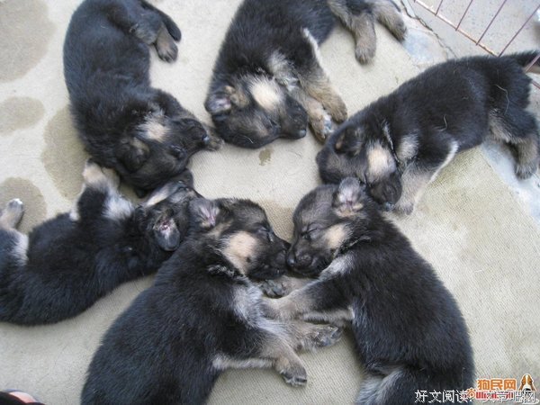 没劲的语句摘抄_关于没劲的语句