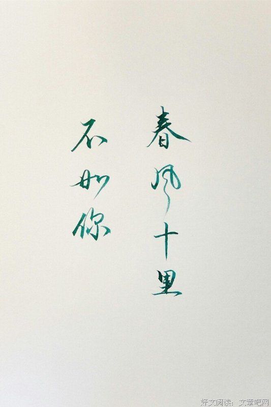 有关冯唐的美句摘抄