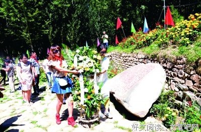 情不知其所起，一子实将起用深句子大全