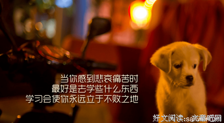 美文美句名句欣赏