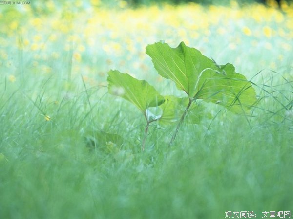 关于人生永就都是一个人的人生的优美句子