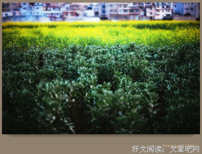关于空梦的名言