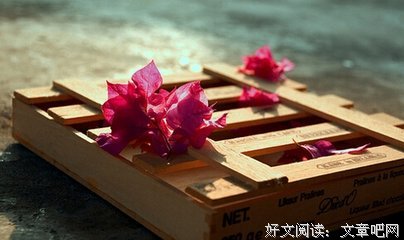 有关笙离座右铭