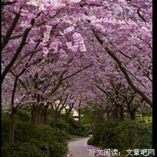 关于莫峻座右铭