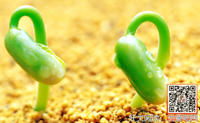 最新的《你所谓的稳定，不过是在浪费生命》好段摘抄大全