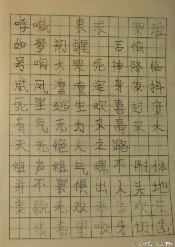 最经典的《春时樱，秋时叶》佳句摘抄