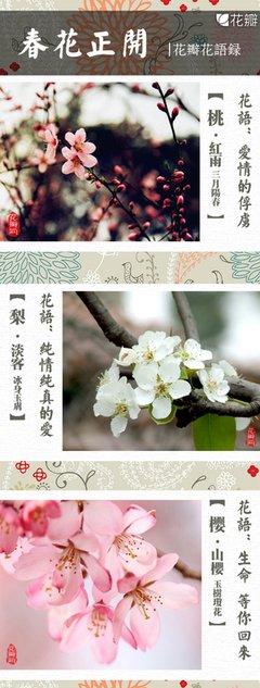 最全的《娇软美人》经典语录大全