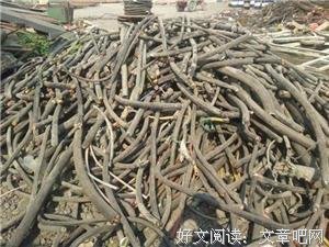 最经典的《少室六门》经典句子