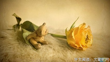 最新的《觉月当他家能们出声泪去流浪》经典的句子