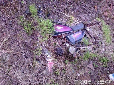 最全的《坐龙椅： 明清帝涂的风雨人生. 上部》经典语句