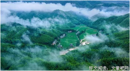 关于英文名的语句