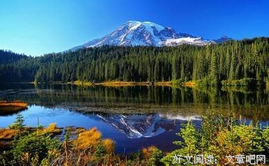有关消瘦的美文美句摘抄