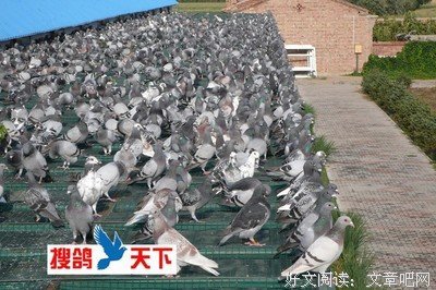 15条关于怨天的经典语句