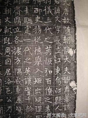 关于谢君的格言
