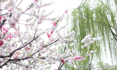 好句子