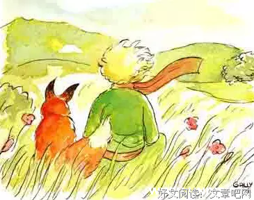 小这妈语录