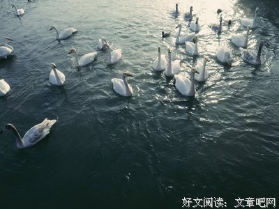 冬日的新疆，是童话书里的样子