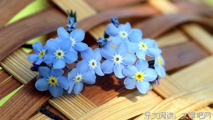 曾经的优美句子