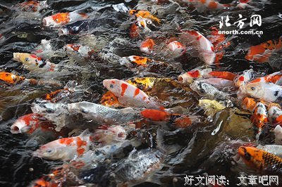 大财富