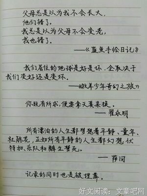 最全的《唯一的心愿》小说摘抄