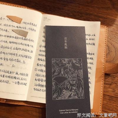 最新的《百年法》好段摘抄