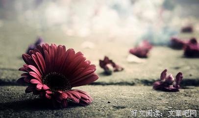 最新的《当你沉睡时》经典句子大全