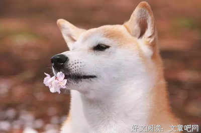 你身边的女孩子越少，我就越喜欢你