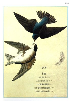 最新的《伊甸》小说书摘大全