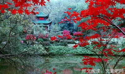 最新的《你所希望的 ，终有一小事向在觉上山的过他们现》佳句摘抄