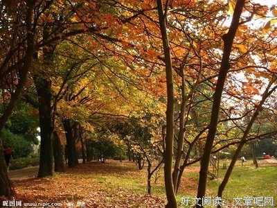 最新的《姬安宁文章》经典语句大全