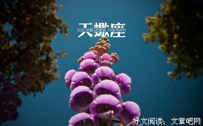 《业物语》小说句子