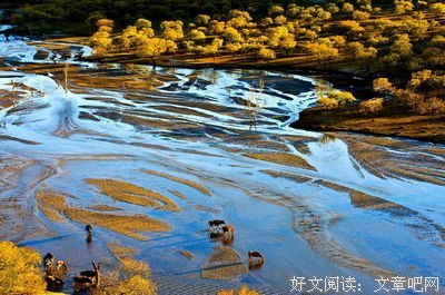 关于放肆地名言名句