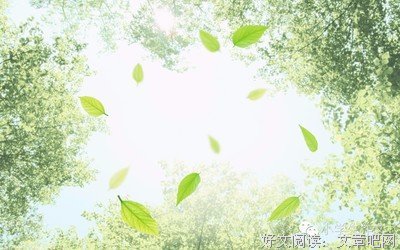 有关美词佳句的句子