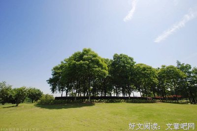 有关風的句子